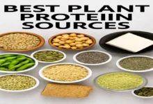 Best Plant Protein Sources